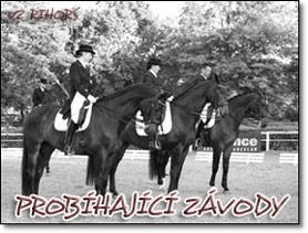 probhaj2